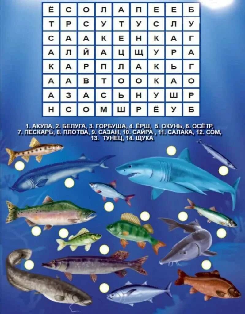 Найди названия рыб. Филворд рыбы для детей. Филворд на морскую тему. Кроссворд рыбы для детей. Рыбы 10 класс