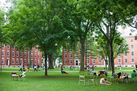 Harvard university cambridge massachusetts