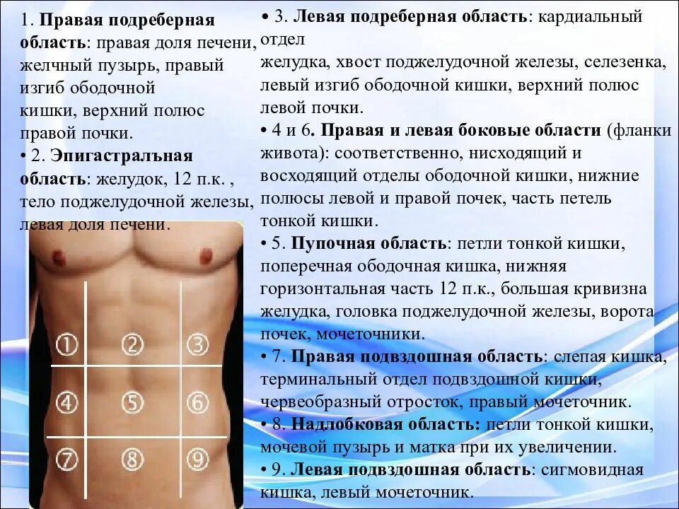 Правая и левая подреберные области. Левая подреберная область. Правая подреберная область. Эпигастральной област. Тянет внизу справа у мужчин