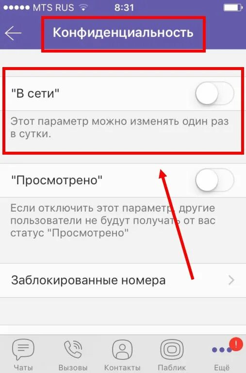 Что такое сетевой статус в вайбере. Выйти из вайбера. Как в вайбере в сети. Как убрать в сети вайбер.