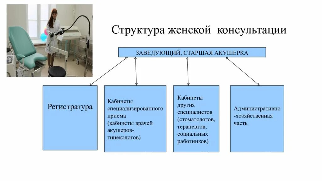 Женская консультация формы. Структура и организация женской консультации. Организационная структура женской консультации. Структура работы женской консультации. Задачи работы женской консультации.