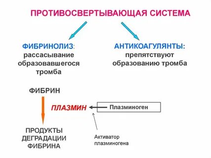 Противосвертывающее действие протеинов с и s