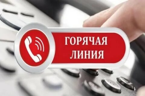 Услуги горячей линии