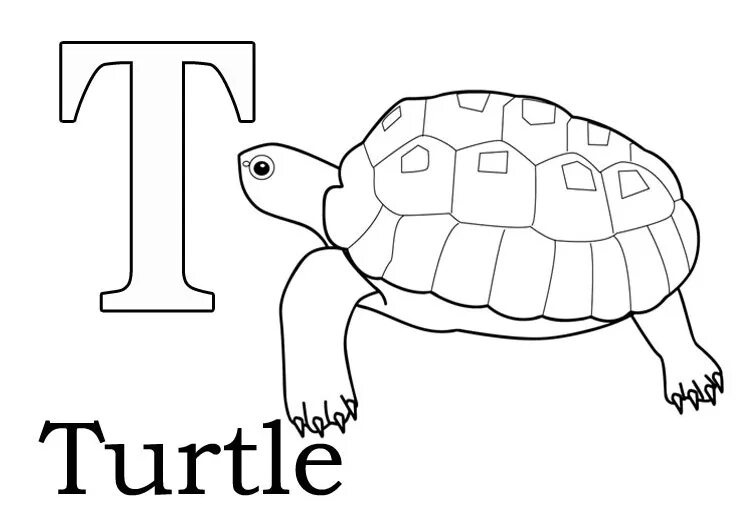 T turtle. Карточки с английскими буквами для раскрашивания. Раскраска "алфавит английский". Английский алавит раскраска. Английские буквы с картинками и словами.