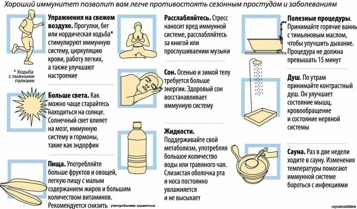 Как восстановить иммунную