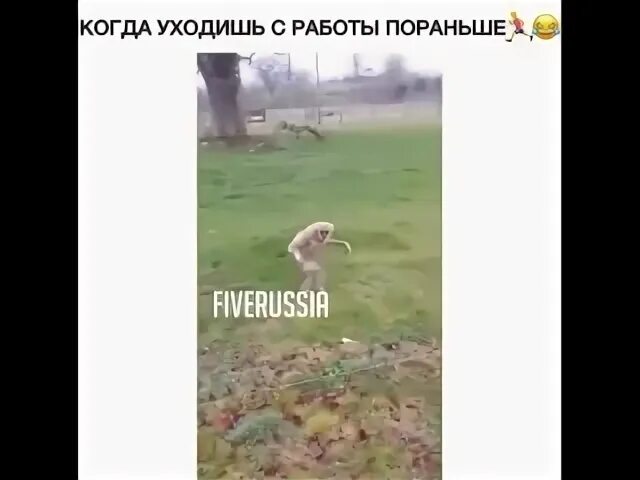 День уйди с работы пораньше