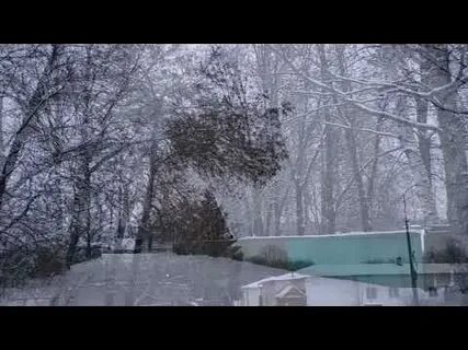Пастернак дождь