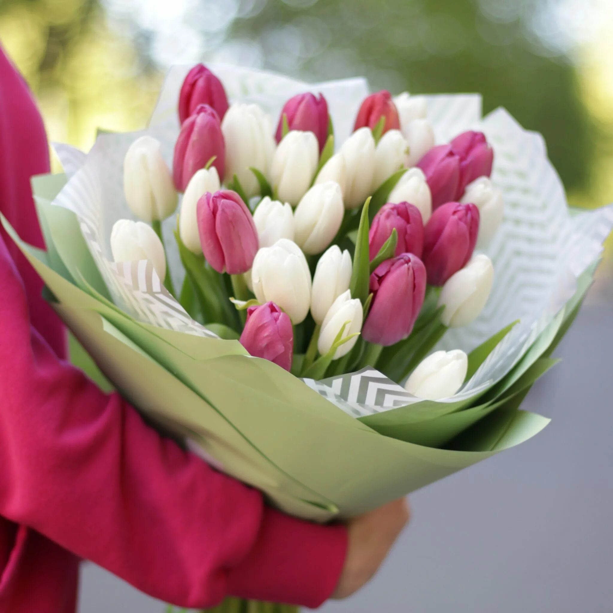 Красивые тюльпаны. Тульпаны. Тюльпан осер. Тюльпаны 4к. Тульпаны.