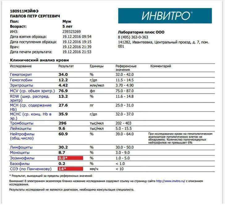 Инвитро анализ фолиевой кислоты. Расшифровка анализа инвитро общий анализ крови. общий клинический анализ крови скрининг что это такое.