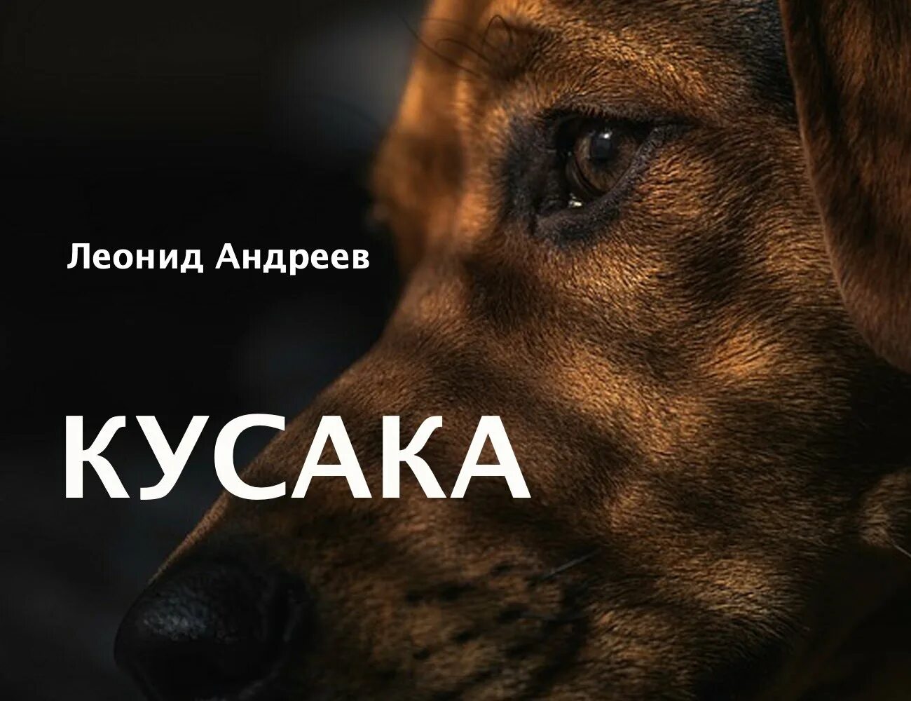 Андреев кусака книга. Кусака обложка книги. Кусака рассказ полностью