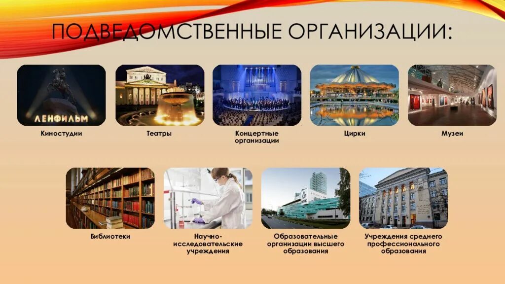 Культурные организации рф. Культурные учреждения России. Учреждения культуры. Учреждения культуры примеры. Учреждения культуры РФ.