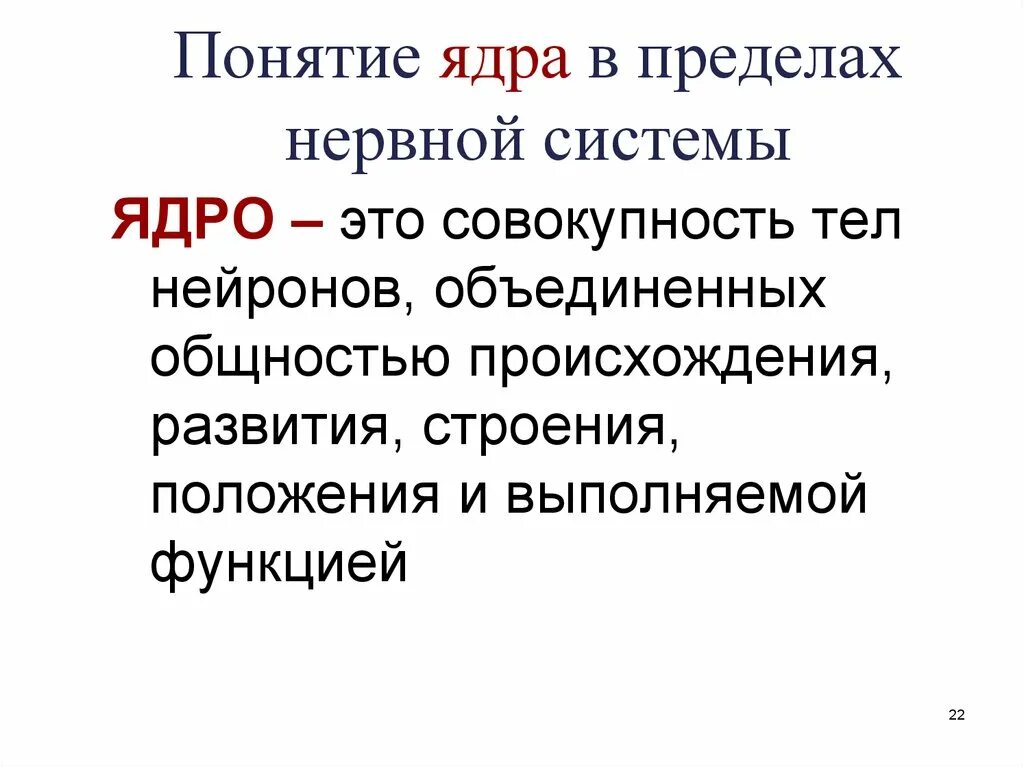 Ядра нервной системы. Ядро понятий. Термин ядро. Ядра центральной нервной системы