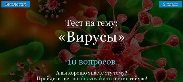 Тест вирусы 5 класс