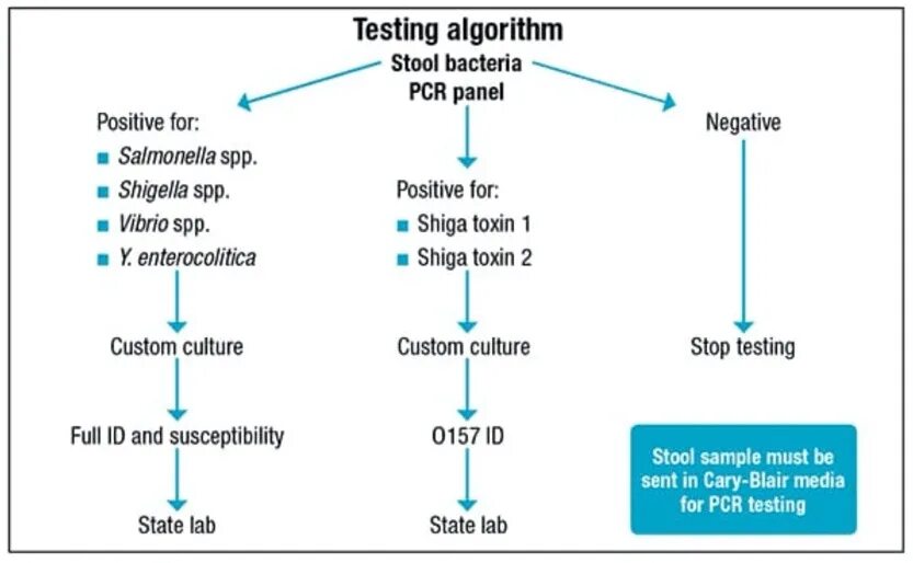 Testing algorithm