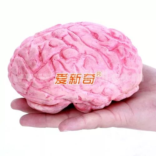 Купи мозги 2. Игрушечный мозг. Плюшевый мозг игрушка. Плюшевая игрушка мозги. Огромный плюшевый мозг.