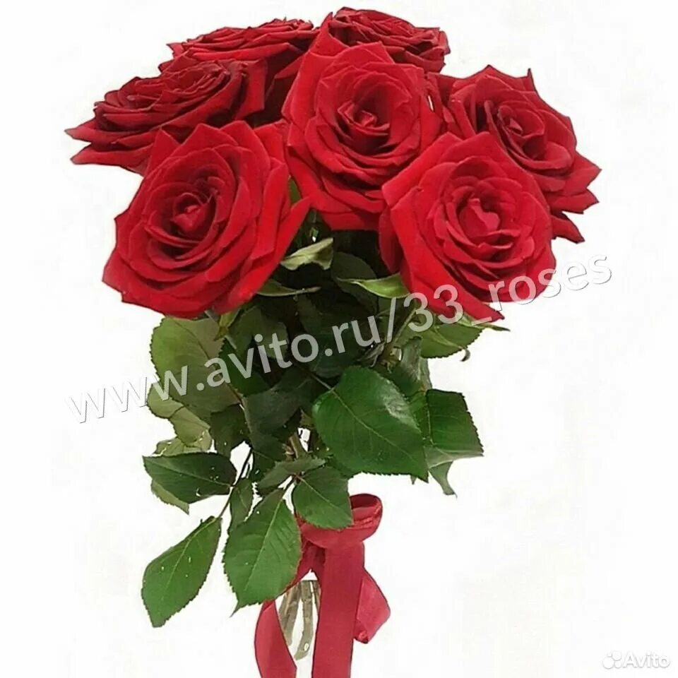 Цветы 7 штук. Цветы 7 штук. Букет «роксолана». Букет из роз трех цветов. Букет "7 красных роз".