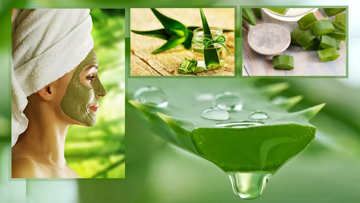 Aloe Vera маска. Aloe Vera маска для лица. Маска для лица из алоэ. Как наносить алоэ