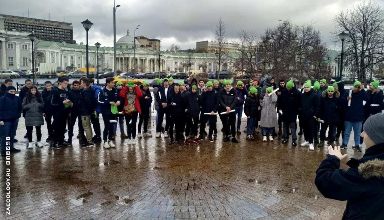 Активисты общественного движения. Зеленые активисты. Политическая партия зеленая альтернатива. Зелёная альтернатива (партия, Россия). Партия зеленых в Москве.