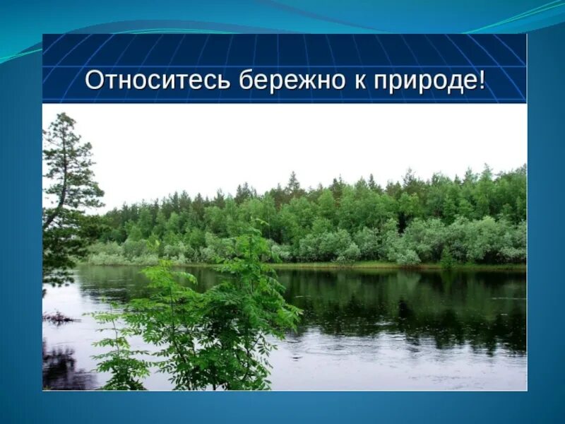 Бережное отношение к русскому. Бережное отношение к природе. Бережно относиться к природе. Бережное относиться к природе. Бережное отношение к природе презентация.