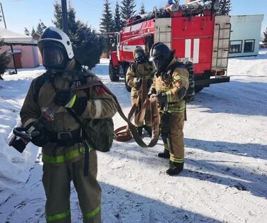 Новости птз