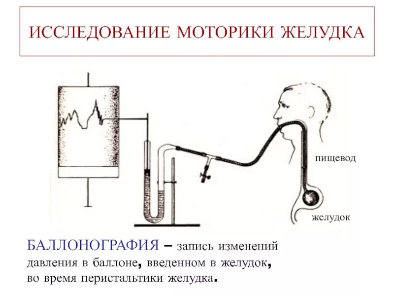 Исследования пищевода и желудка