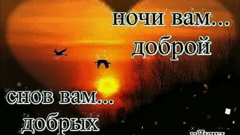 Ночь вам помочь