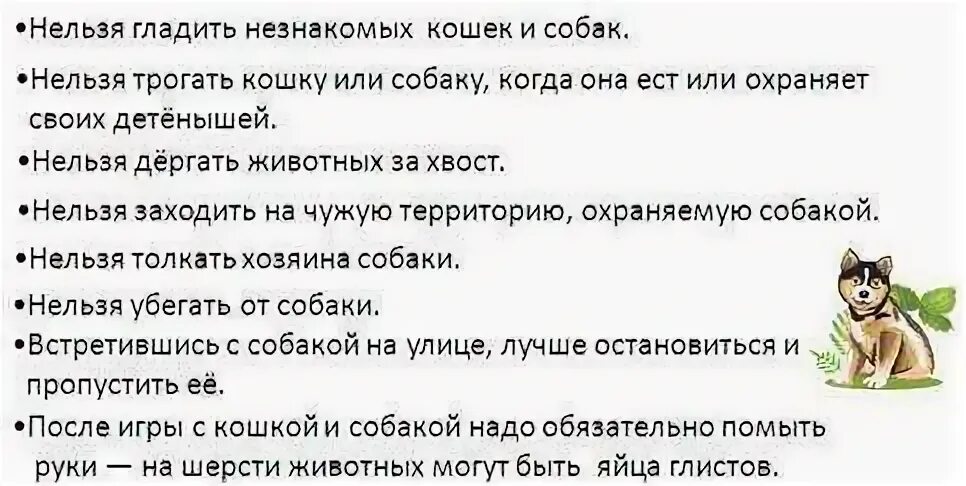 Сонник гладить собаку. Нельзя гладить незнакомых кошек и собак. нельзя гладить собаку по голове. знак нельзя гладить животных.