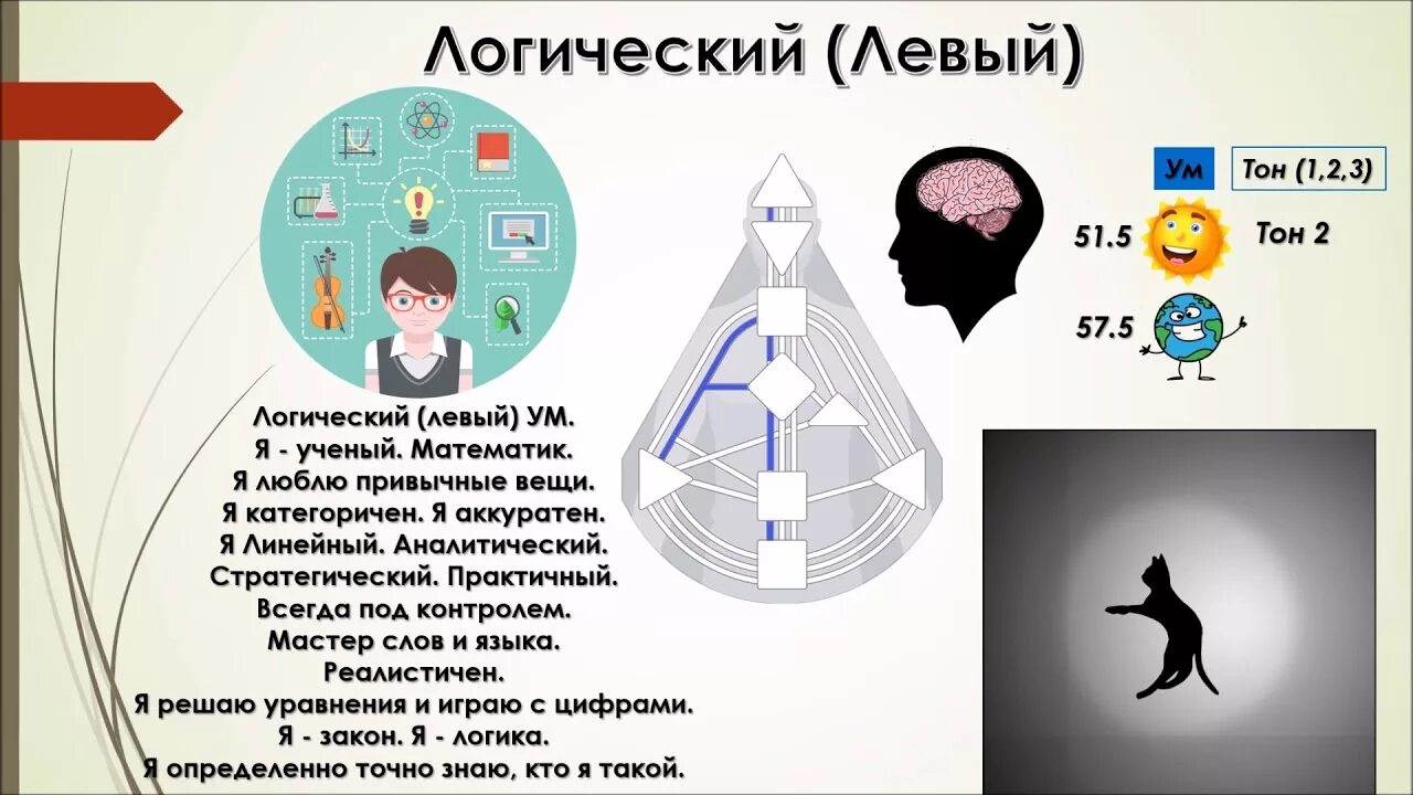 Графический дизайн люди. Дизайн человека. Ум в дизайне человека. Левое и правое в дизайне человека.