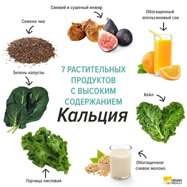 В каких растениях содержится кальций. Растительные продукты содержащие кальций. Растительная пища с высоким содержанием кальция. Растительные источники кальция. Кальций в растительных продуктах.