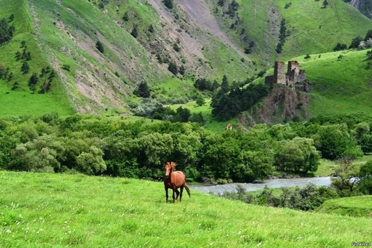 Горы Чеченской Республики. Джейрах Таргим. Горы вайнахов Ингушетия. Село Джейрах Республика Ингушетия с лошадьми.