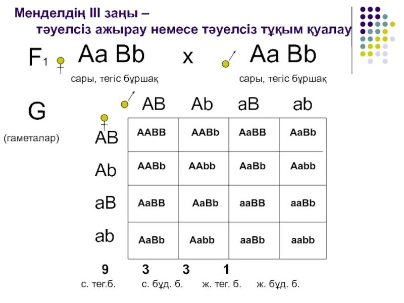 Генотип потомства аа аа аа аа