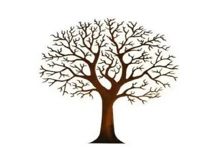 Бұйра шашты әйел есекке сиынып, жылайды.