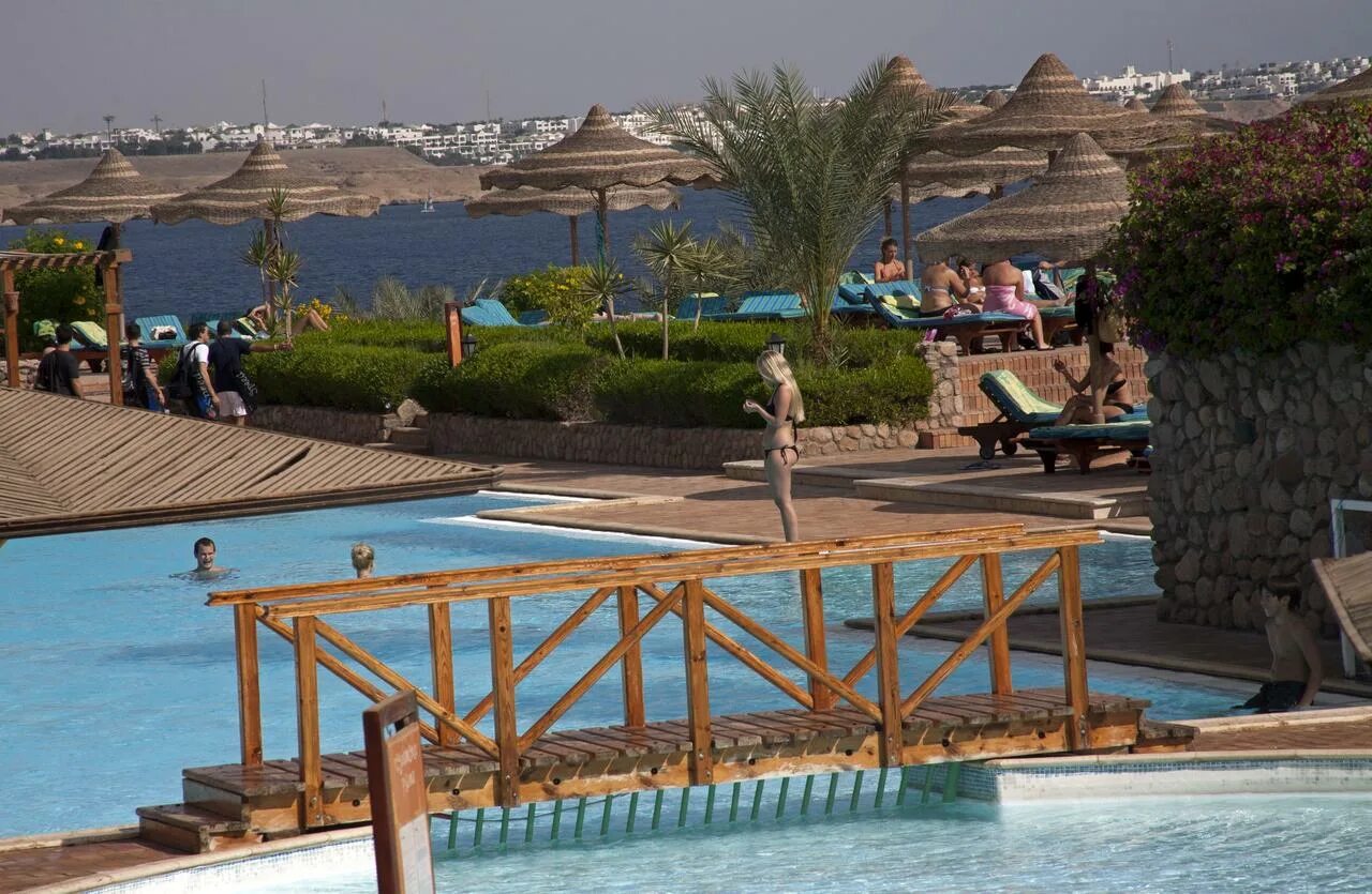 Шарм клуб риф резорт. Отель club reef hotel. club reef 4*. club reef hotel 4 шарм-эль-шейх. риф египет отель фото.