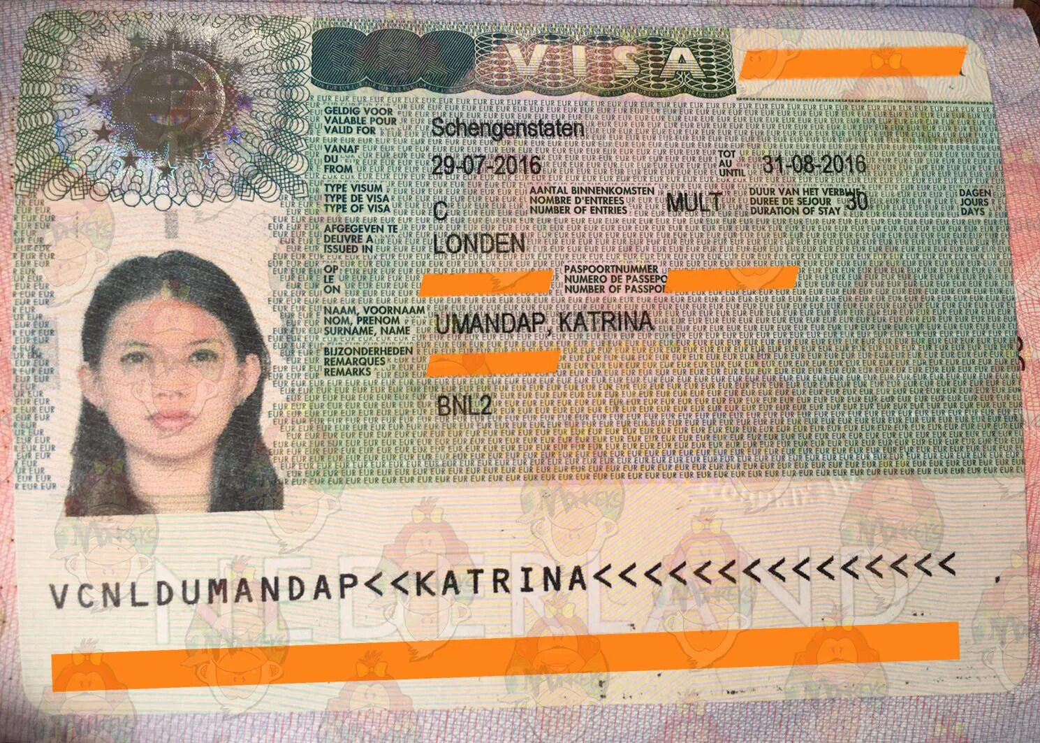 Etats Schengen чья виза. Eu visa. Албания виза. France visa.