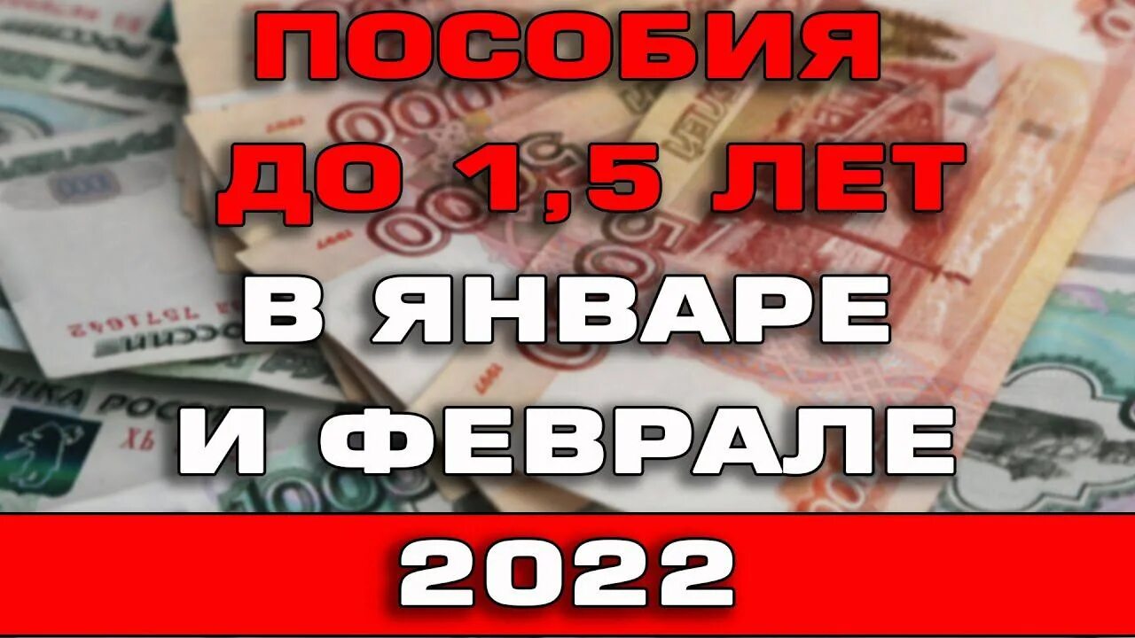 Пособие февраль 2025. Расчётный период для пособия 2025.