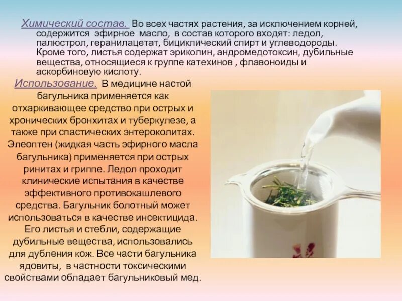 Лекарственное растение обладающее отхаркивающим действием