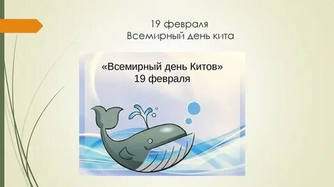 Международный день китов