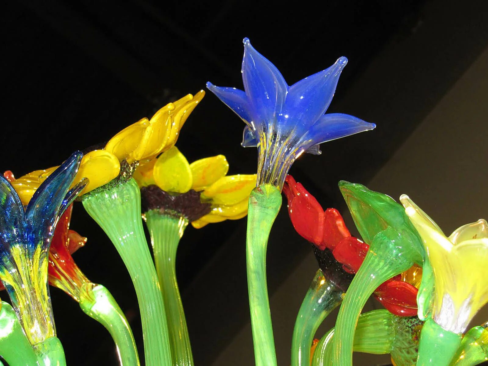 Glass flowers. Glass flowers