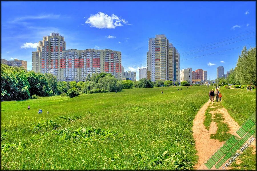 Красивые места в ясенево. Парк ясенево. Малый чертановский пруд. Ясенево рассвет. Ясенево чертаново.