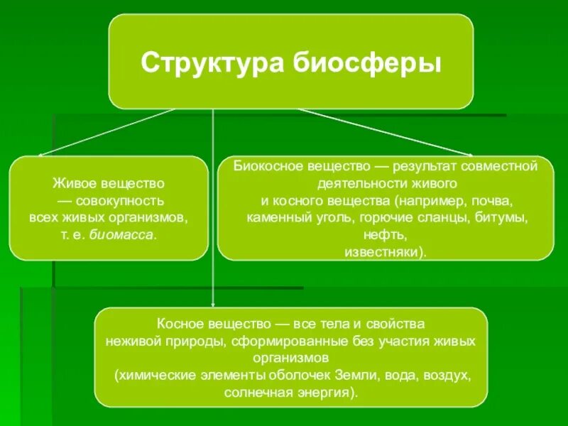 Главная функция земель. Структура биосферы живое вещество. Биосфера состав и строение. Биосфера структура биосферы. Опишите структуру биосферы.