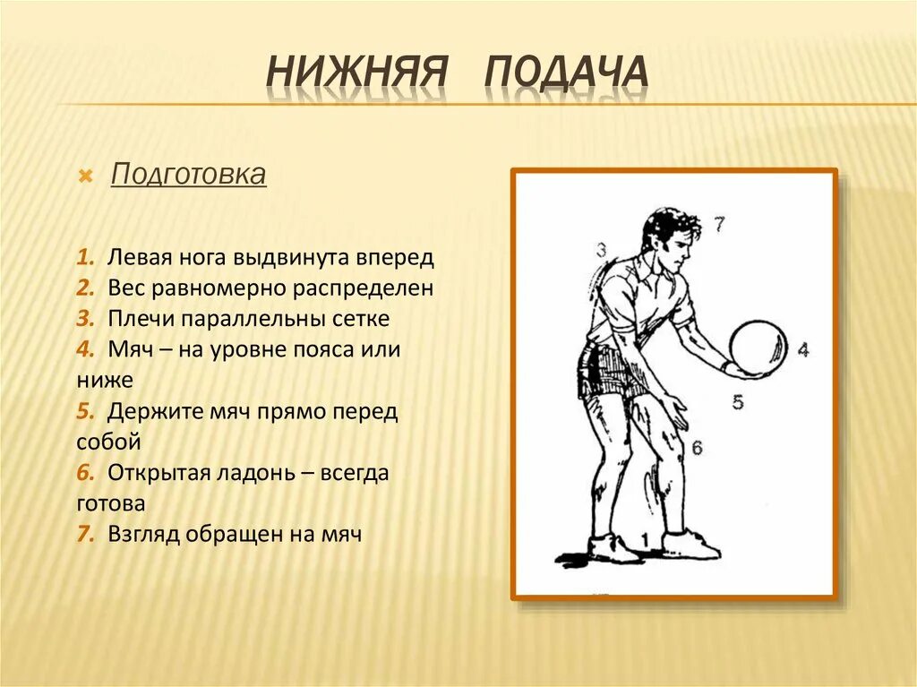 Буклет волейбол. Биомеханика в волейболе. Средства тренировки в волейболе. Волейбол методика обучения. Средства обучения в волейболе.