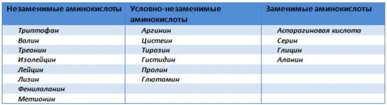 Сколько всего аминокислот. Заменимые и незаменимые аминокислоты таблица. Незаменимые и заменимые аминокислоты список. Классификация аминокислот заменимые и незаменимые условно заменимые. Аминокислоты заменимые и незаменимые частично заменимые таблица.