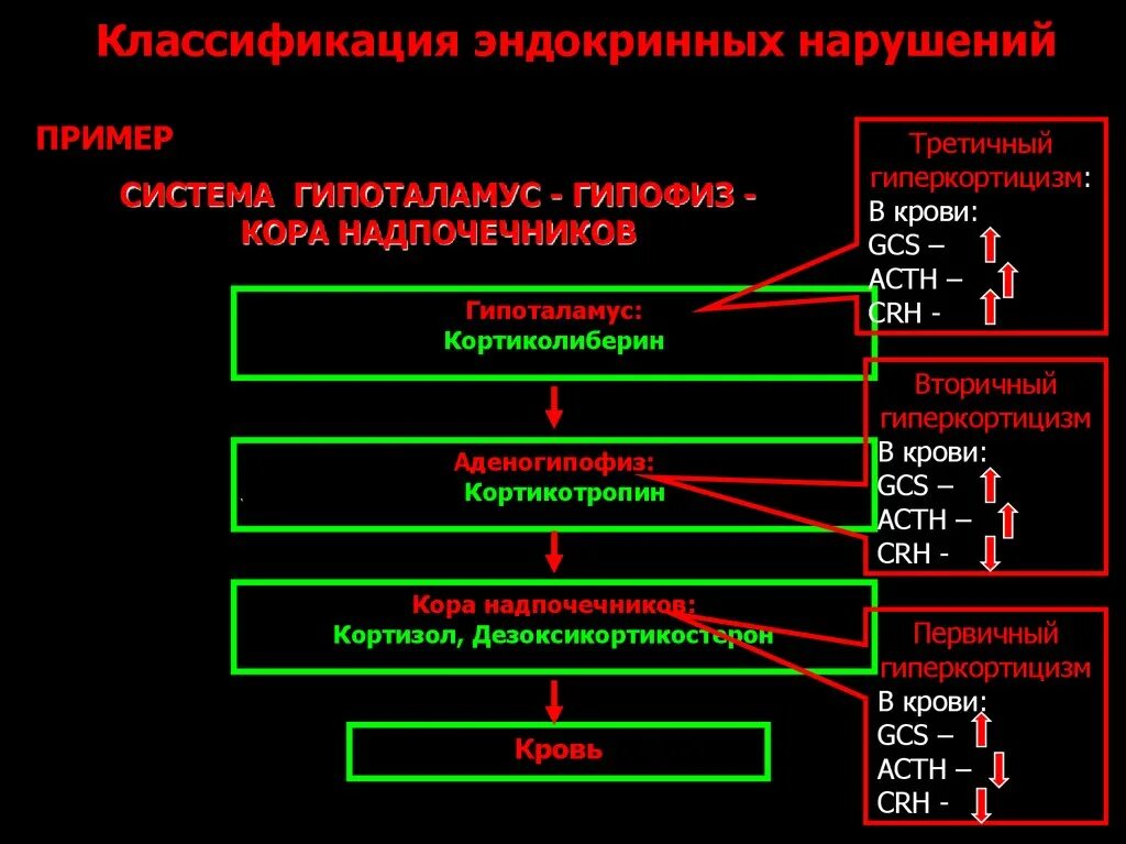 Эндокринные нарушения это. Классификация эндокринных заболеваний. 1 Классификация эндокринных заболеваний. Классификация нарушений эндокринной системы. Классификация эндокринных заболеваний патофизиология.