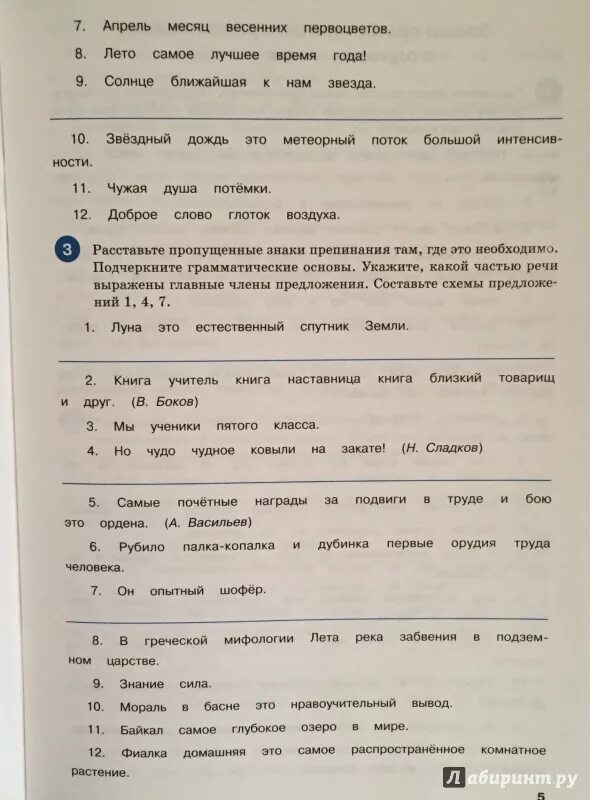 Тренажер александрова 5 класс. Тренажёр по русскому языку пунктуация. Тренажёр по русскому языку 5 класс пунктуация. Тренажер по русскому языку 8 класс. Тренажёр по русскому языку 8 класс пунктуация.