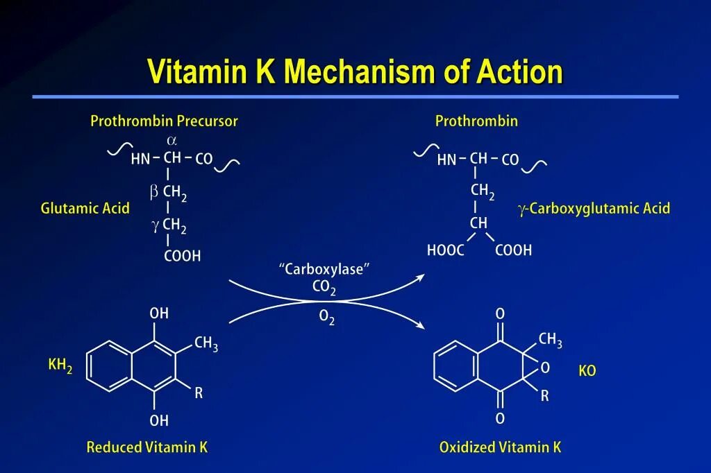 Mechanism of action. Warfarin mechanism of Action. Варфарин механизм действия. Варфарин фармакологические эффекты. Варфарин механизм действия фармакология.