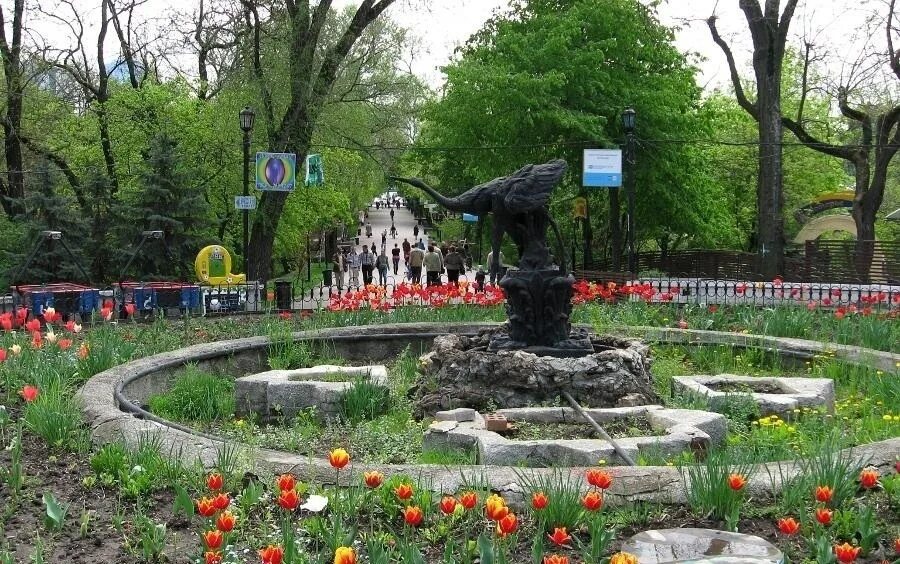 В парке "Дружба" в Ростове грядет массовая вырубка деревьев