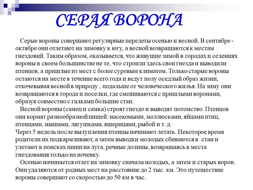 Сообщение на тему поведение ворона. Исследовательская работа ворона. Изучить поведение вороны. Поведение ворон.