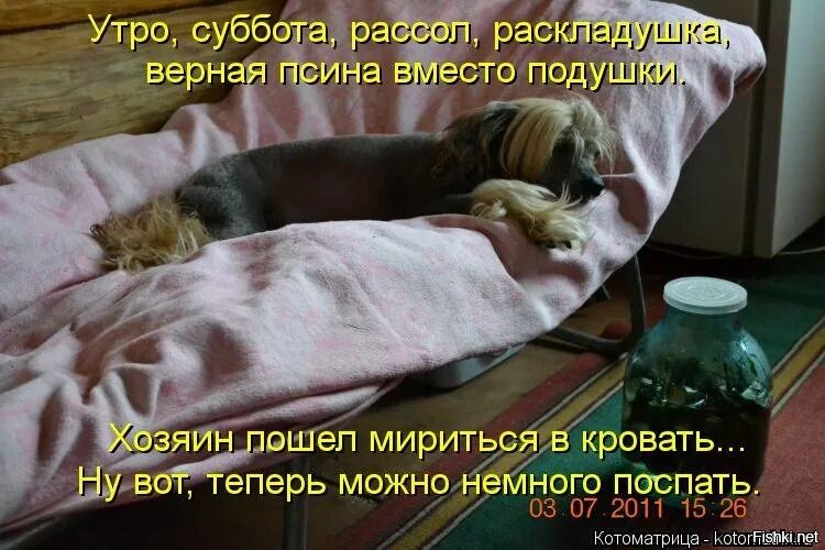 Мое утро в субботу. Суббота картинки прикольные. суббота картинки смешные. доброе утро субботы прикольные. доброго субботнего утра прикольные.