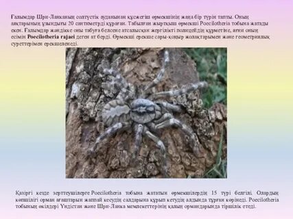 Warcraft порно комикстері