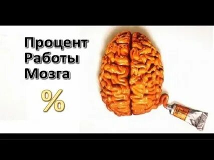 Сколько процентов работает мозг обычного человека
